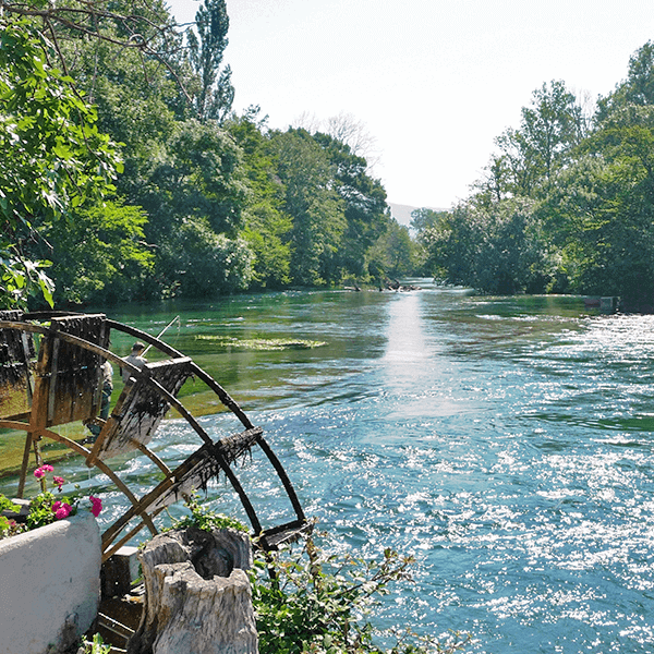 8949-normal-687e49539a3396.75209598