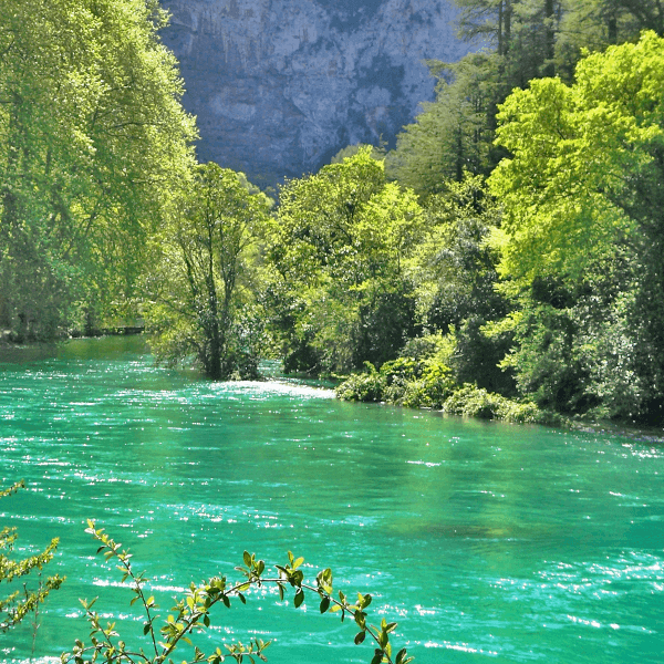 imgi_3_9041-normal-6880a399a749d4.79925161