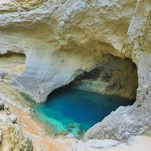 8919-normal-68716661746443.60307085