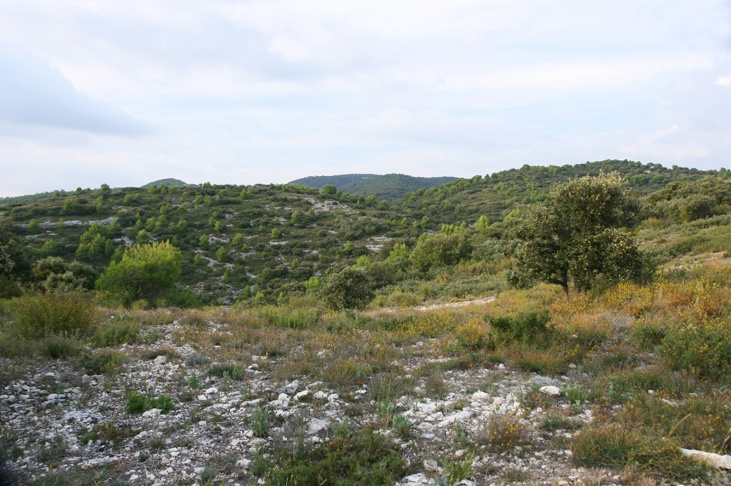 imgi_3_82936-normal-687dfb9ce44e96.23723317