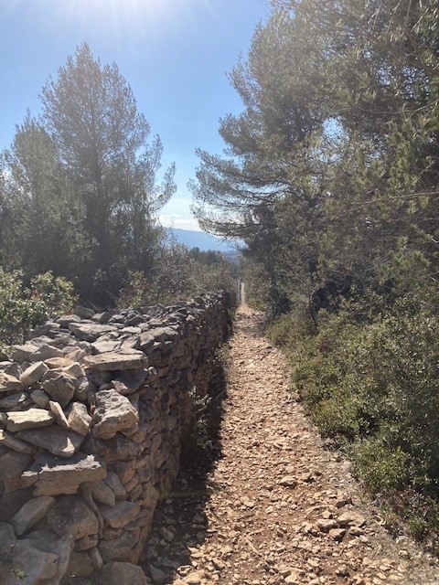 83879-normal-687e35b12d1c03.75057246