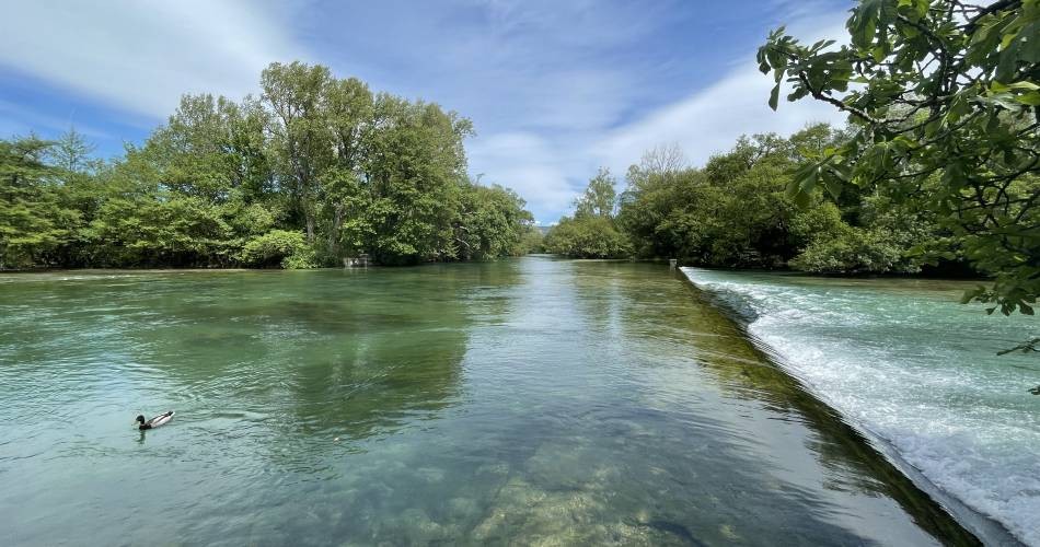 83880-normal-687e37b5782560.64749358