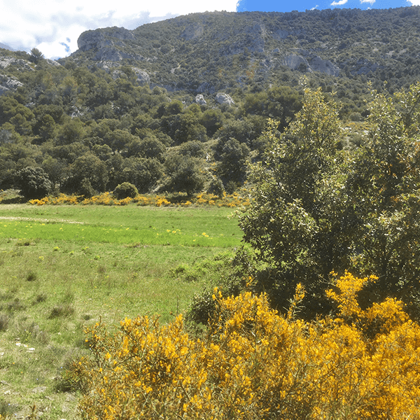 9016-normal-687f8a7f4bfd47.30093109