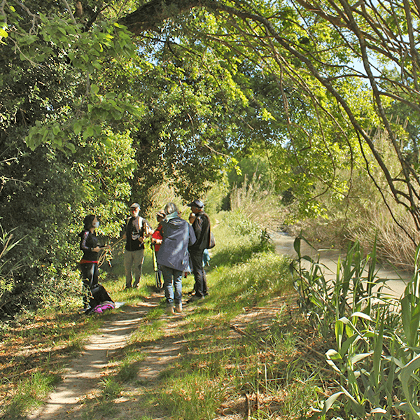 8920-normal-687165bb941685.53728387