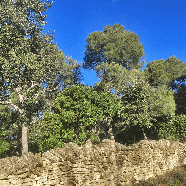 9011-normal-687f8705239f64.45466058